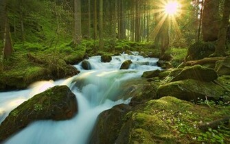 Nature Background For Mac Pictures In High Definition