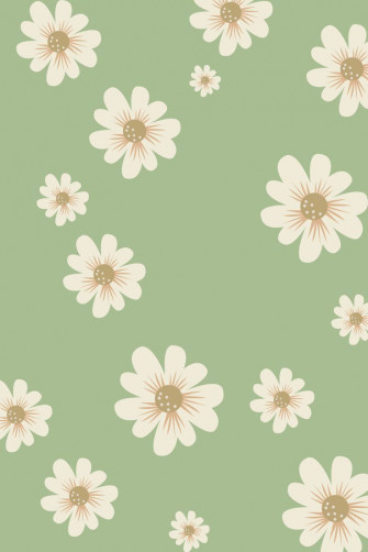 Sage Green Daisy Wallpaper Pattern Flower Aesthetic Floral