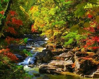 Wallpaper Lovely Stones Falling Nice Fall Beautiful Rocks Trees