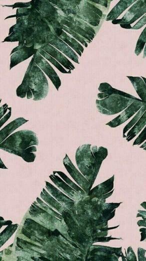 Leafy Rustic Background For Some Tropicalvibes Plant Wallpaper