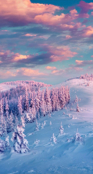 Winter iPhone Wallpaper Cute Background