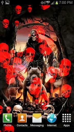 Wallpaper Mean Looking Pit Bull Bulls And A Evil Grim