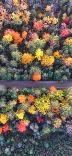 Top Nature iPhone Wallpaper HD Background