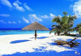 Tropical Beach Description Like Filename