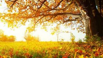 Url Picswallpaper Awesome Autumn Wallpaper