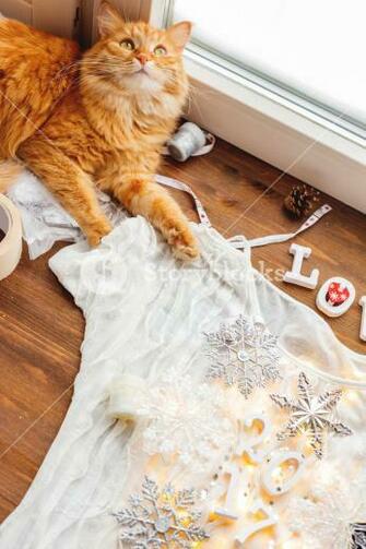 Cute Ginger Cat Lying On Wooden Background With Decorations