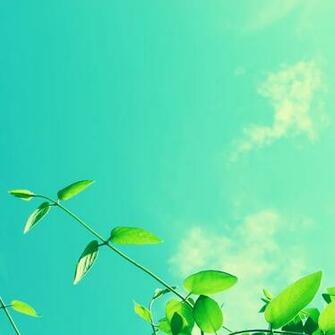 Spring Sky iPad Air Wallpaper iPhone