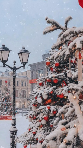 Christmas Aesthetic Winter Tree December Snow