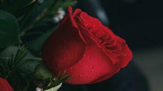 Happy Valentine S Day Wallpaper Talk In Now