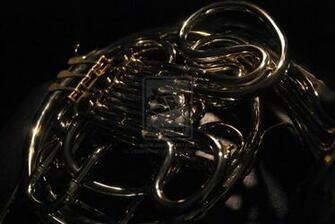 French Horn In High Contrast By Lizzievphotography
