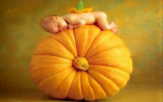 Anne Geddes Wallpaper Baby Jpg