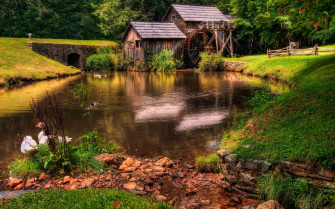 Pond HD Wallpaper