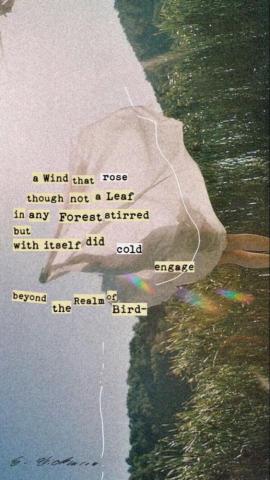 Aesthetic Wallpaper Emily Dickinson Poems Quote