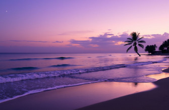 Purple Beach Wallpaper