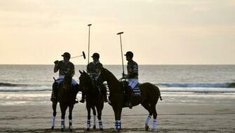 Horse Polo Wallpaper Image