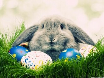 Easter Wallpaper HD