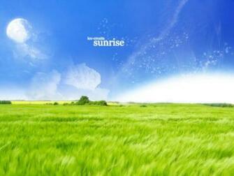 Grassland Wallpaper