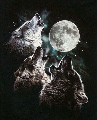 Wolves And Werewolves