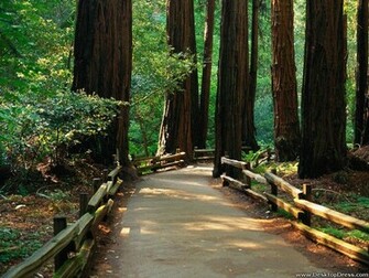 Desktop Wallpaper Natural Background Beauty