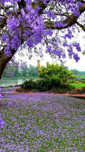 Beautiful Spring Wallpaper Android