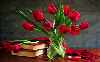 Red Tulips HD Love Wallpaper Romantic