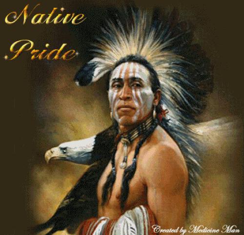 Native Pride Comments Graphics