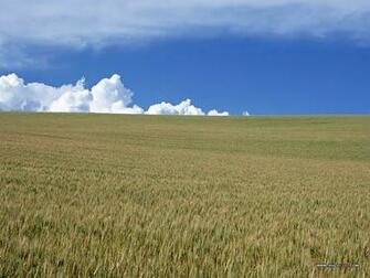 Country Scenes Wallpaper Image Search Results