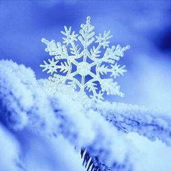 Snowflake Live Wallpaper Android Apps And Tests Androidpit