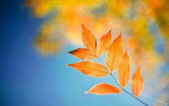 Windows Lock Screen Wallpaper