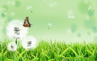 Dandelion Wallpaper Desktop