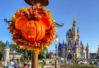 Giant Galapagos Tortoises Celebrate National Pumpkin Day At