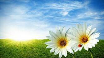 Size Summer Pixel Nature HD Wallpaper Iwallscreen