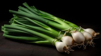 Green Onion Isolated On A Black Background Wallpaper