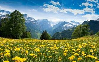 Beautiful Wallpaper For Desktop Mountain