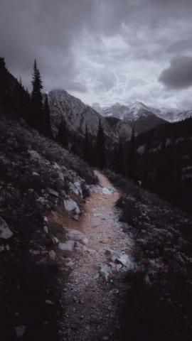 Haileyann On Lost In Nature Photography Forest