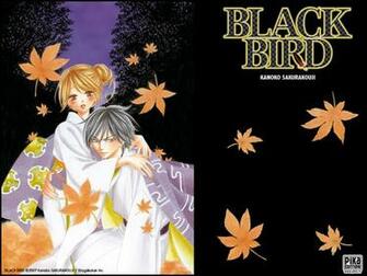Image Black Bird Wallpaper