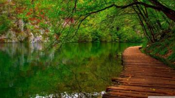 Fresh Nature Wallpaper HD Teahub Io