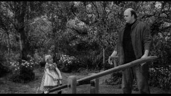 Young Frankenstein Wallpaper HD