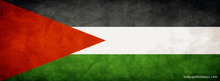 HD Palestine Flag Wallpaper Sultan Ahmed Blue Mosque Asia And Europe