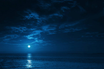 Night Aesthetic Wallpaper