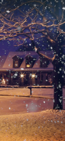 Snow iPhone Wallpaper