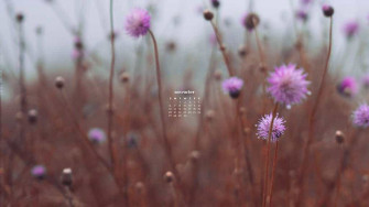 November Wallpaper Desktop Phone Calendars