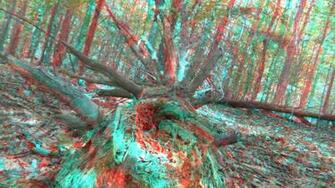 3d Anaglyph Foto Copac