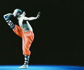 Shaolin Monk By Dijabolik