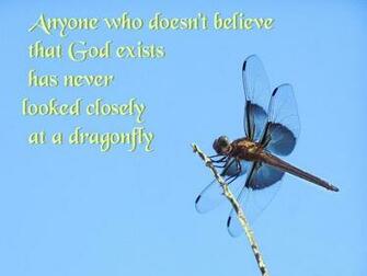 Dragonfly Background For Desktop