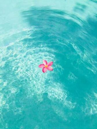 Danielaisabelrm On Beautiful Pictures In Summer