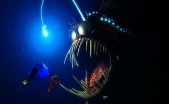 Angler Fish Wallpaper Image Group