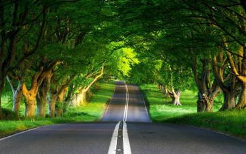 Spring Landscape Wallpaper HD Green Mount Credit Union