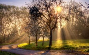 Your Favorite Gardening Weather Crisp Spring Morning Beautiful