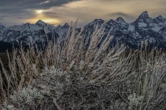 Teton Background Outdoor Photographer